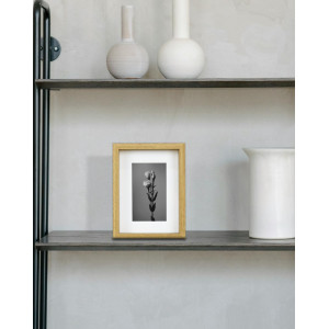 Marco con Profundidad 20x25cm (INT 15x20cm) Haya Mod 3503 Madera con paspartu