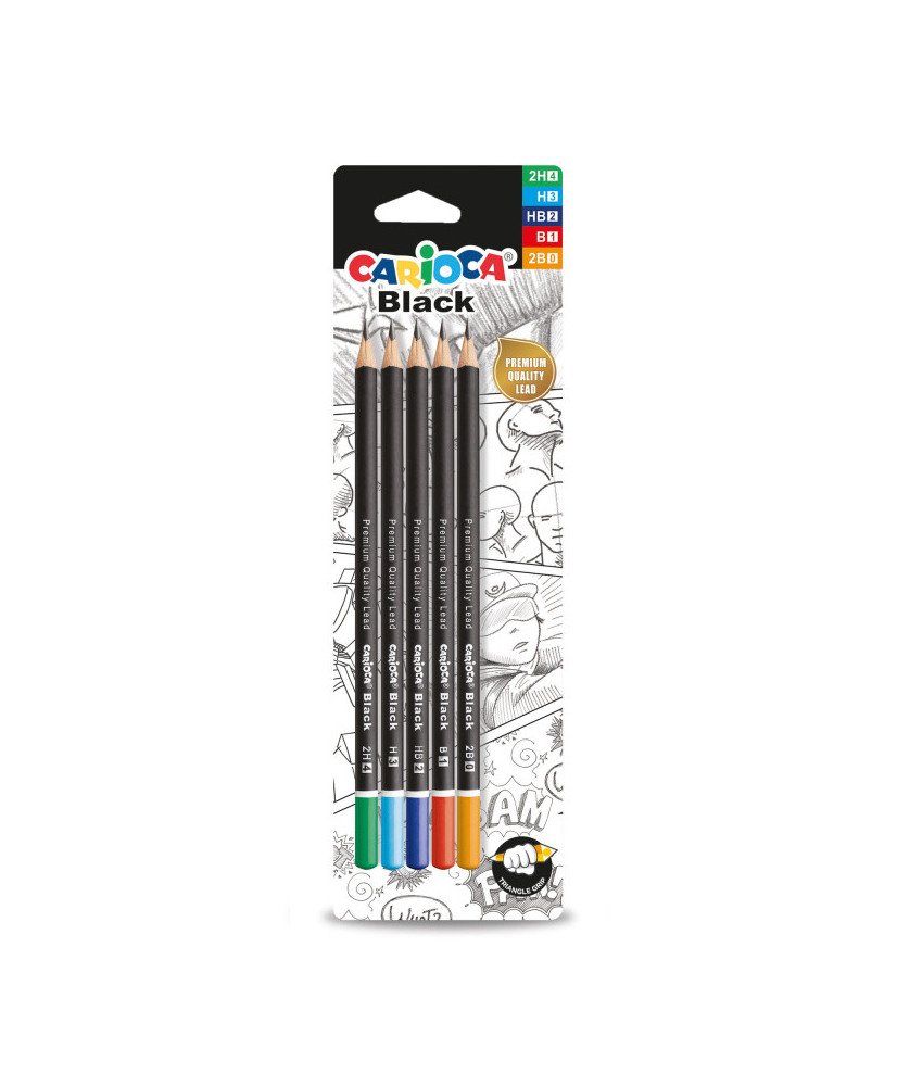 Lápices de Grafito Mixtas - 5 Uds