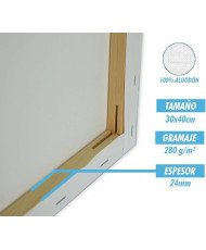 Lienzos Para Pintar 30x40 CM Pack 2 Unidades Bastidor Madera 24 MM