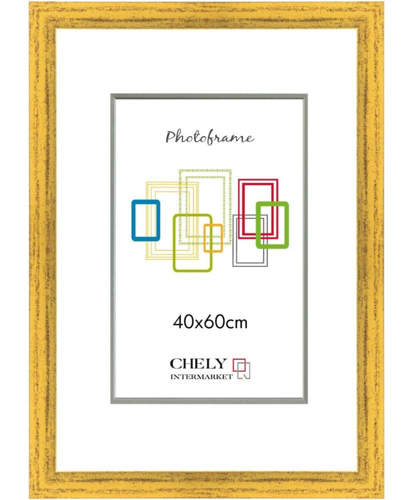 CHELY INTERMARKET | Marco de Fotos MOD-254 Hecho de Madera, (Dorado, 40x60cm)