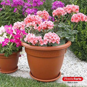Maceta Classic Terracota 25 cm
