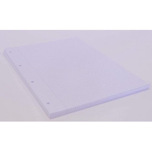 Recambio 100Hojas con margen. Tamaño A4, Papel de 90 gr (A4, CUADROS 4X4 MM)