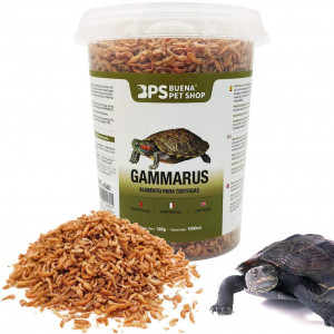 Alimento Comida Gammarus...